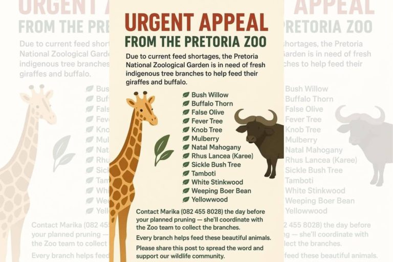 202510Old-Pretoria-Zoo-post-sparks-viral-misunderstanding