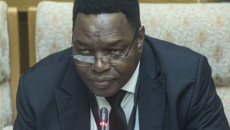 Lt Gen Fannie Masemola Testifies Before Ad Hoc Committee Probing Police Corruption