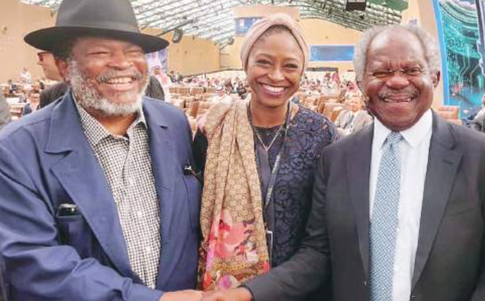 202510Prince-Nduka-Obaigbena-CEO-of-the-Nigerian-Investment-Promotion-Commission-NIPC-Aisha-Rimi-and-ChairmanManaging-Director-Global-Infrastructure-Partners-Chief-Adebayo-Ogunlesi