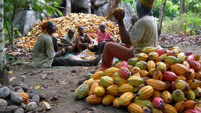 202510Processed-Cocoa-Yields-30-Times-More-Revenue-Than-Raw-Exports-Says-CapitalSage-Founder-Alamu