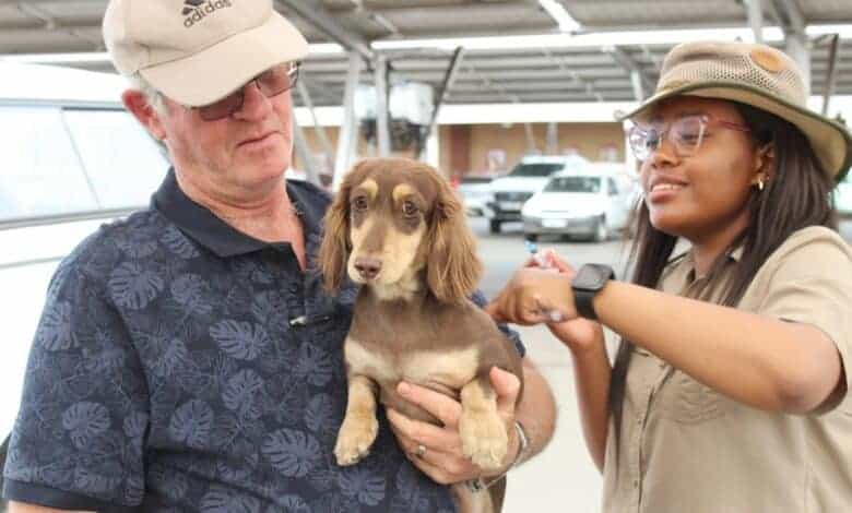 202510Rabies-dog