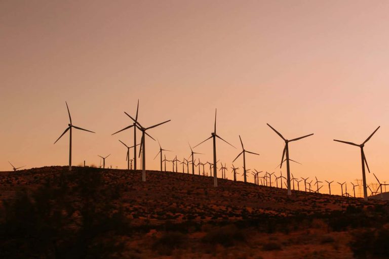 202510Ramokgopa-IRP-green-energy-electricity