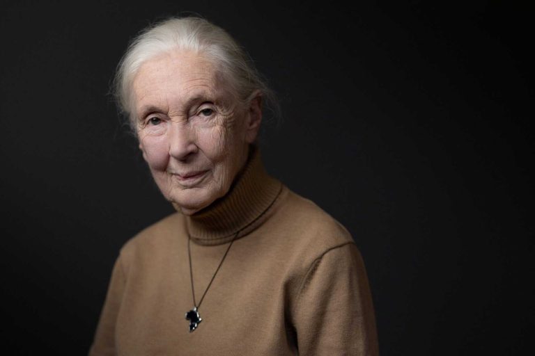 Renowned primatologist Jane Goodall dies at 91: institute