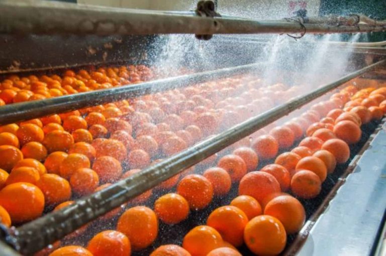 202510SA-citrus-season-US-tariffs