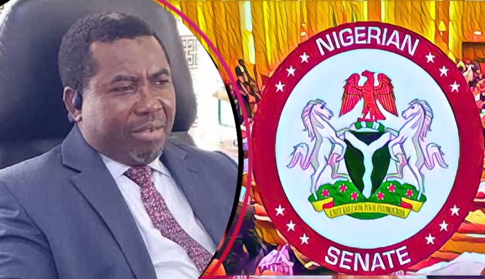 202510Senate-To-Screen-Amupitan-As-INEC-Chair-Thursday