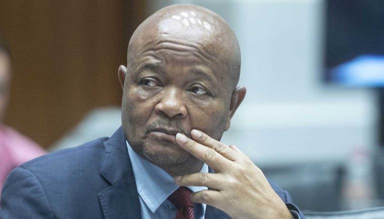 Senzo Mchunu Testifies Before Ad Hoc Committee Probing Police Corruption