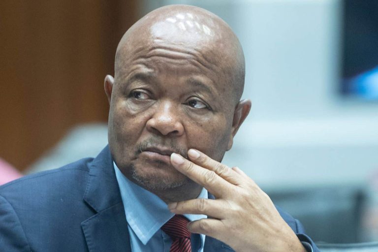202510Senzo-Mchunu-Mkhwanazi-ad-hoc-committee
