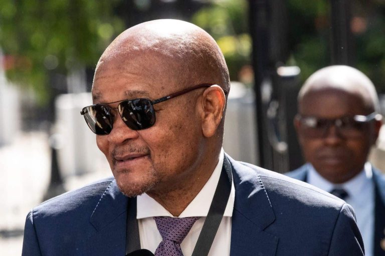 202510Senzo-Mchunu-Mkhwanazi-ad-hoc-committee-political-killings-task-team