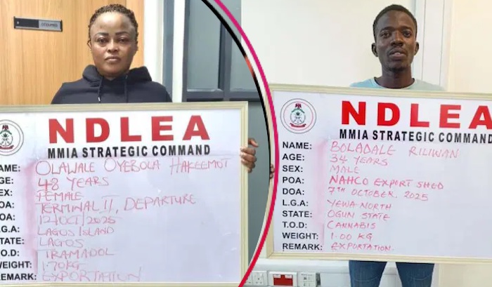 202510US-UK-DRC-Bound-Illicit-Drug-Consignments-Intercepted-in-Frozen-Snails-Electrical-Bulbs