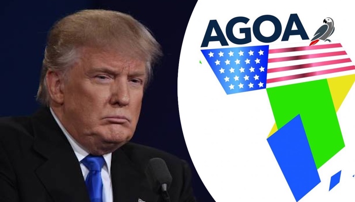 202510Uncertainty-Deepens-As-Trump-Delays-AGOA-Renewal-UNCTAD-Warns-Of-Job-Risks-For-Africa