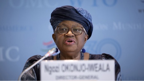 202510WTO-Director-General-Dr-Ngozi-Okonjo-Iweala