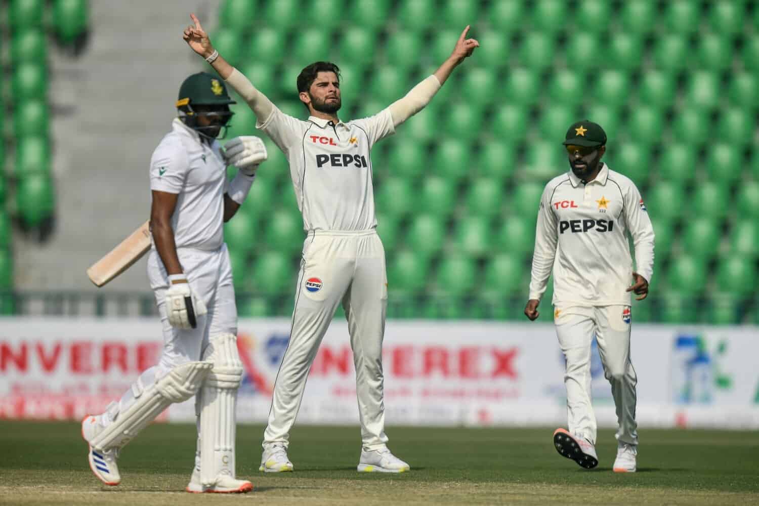 202510cricket-17