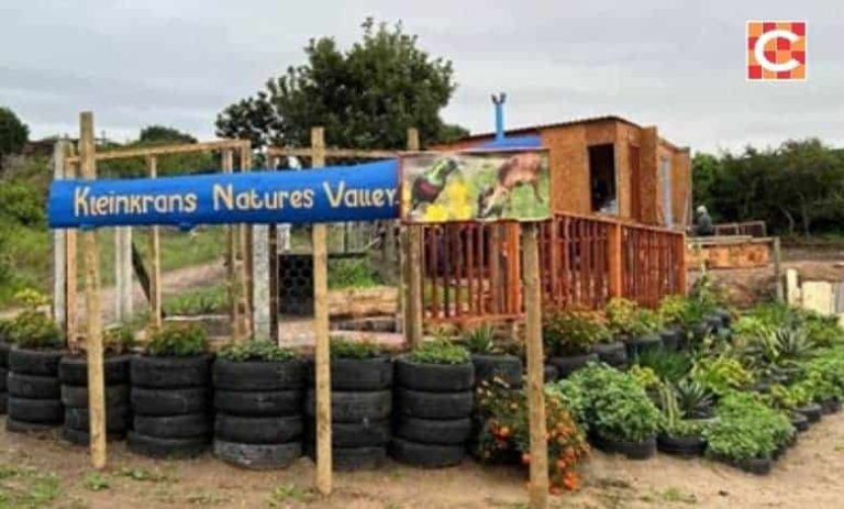 202510dog-attack-wilderness