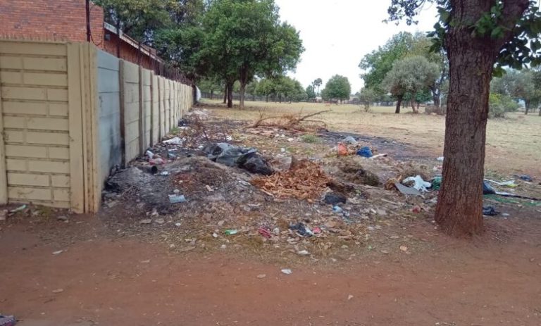 202510dumping-lenasia