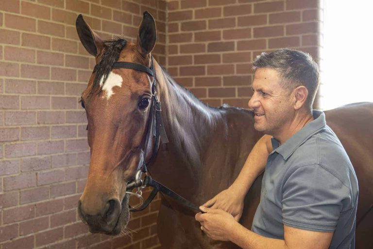 202510sean-tarry-spring-betting