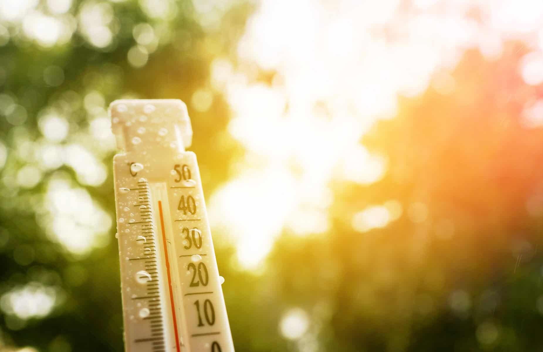 Thermometer for measuring outdoor air temperature.