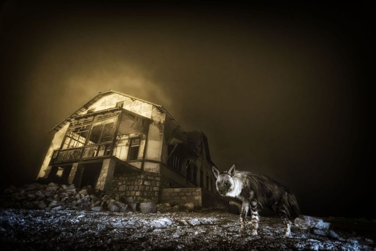 Ghost In The Darkness