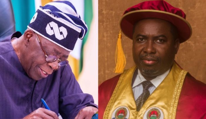 Council-of-State-Approves-Tinubus-Nominee-Prof.-Joash-Amupitan-as-INEC-Chairman
