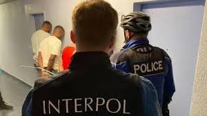 INTERPOL-1