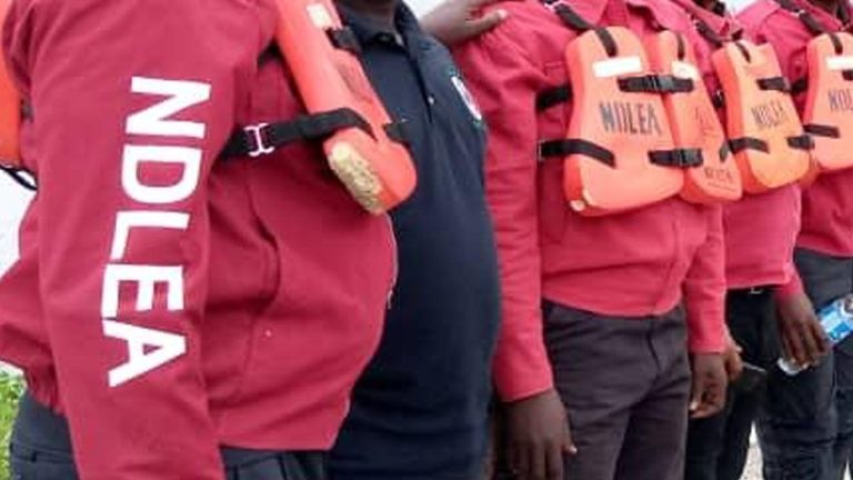 NDLEA-10