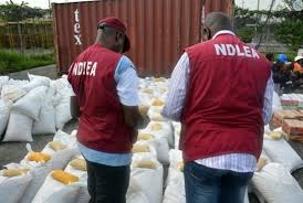 NDLEA-2-1