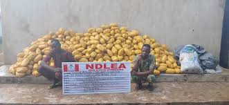 NDLEA-drugs