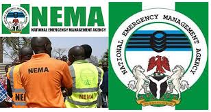 NEMA-2-1