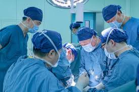 Pig-to-human-heart-transplant