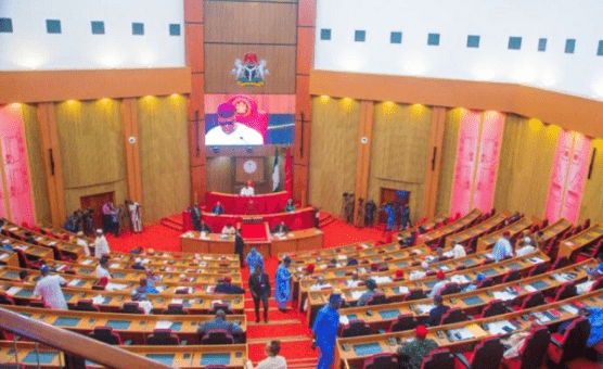 Senate-556x340-1
