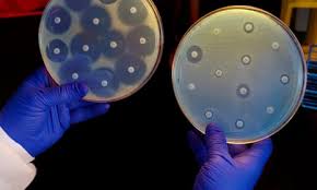 WHO-drug-resistance-1