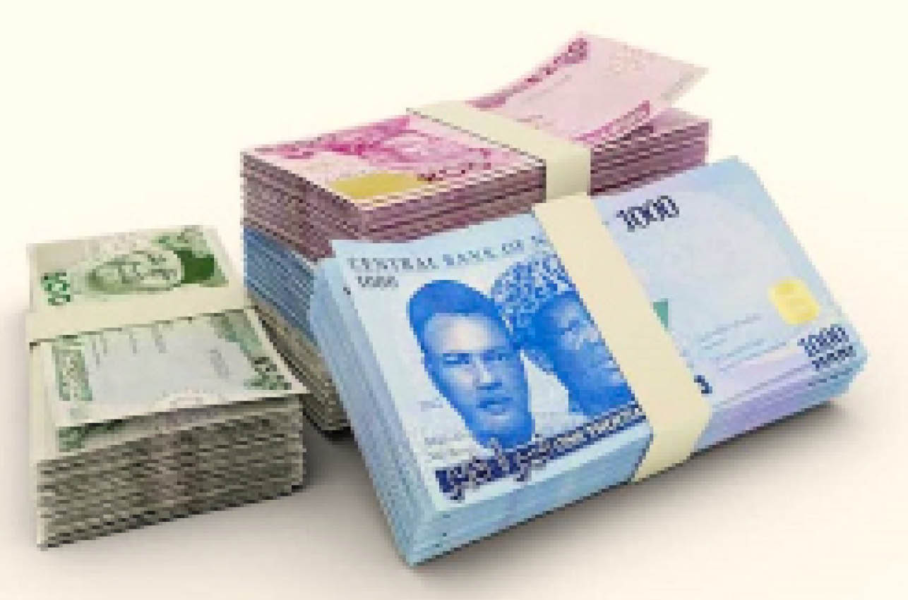 Who-gained-from-the-naira-redesign-policy