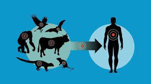 Zoonotic-diseases