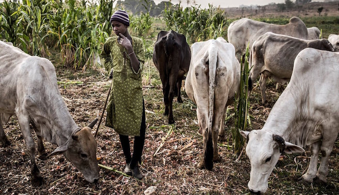 202109Nigers-Nomadic-Herders-