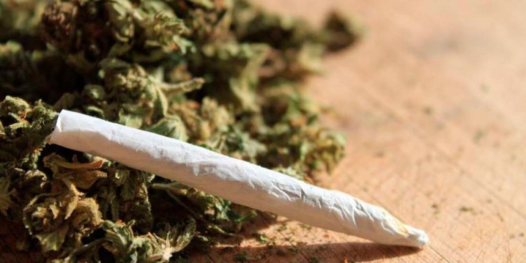 Green cannibis joint and herb laying on a wooden table. Fotosearch