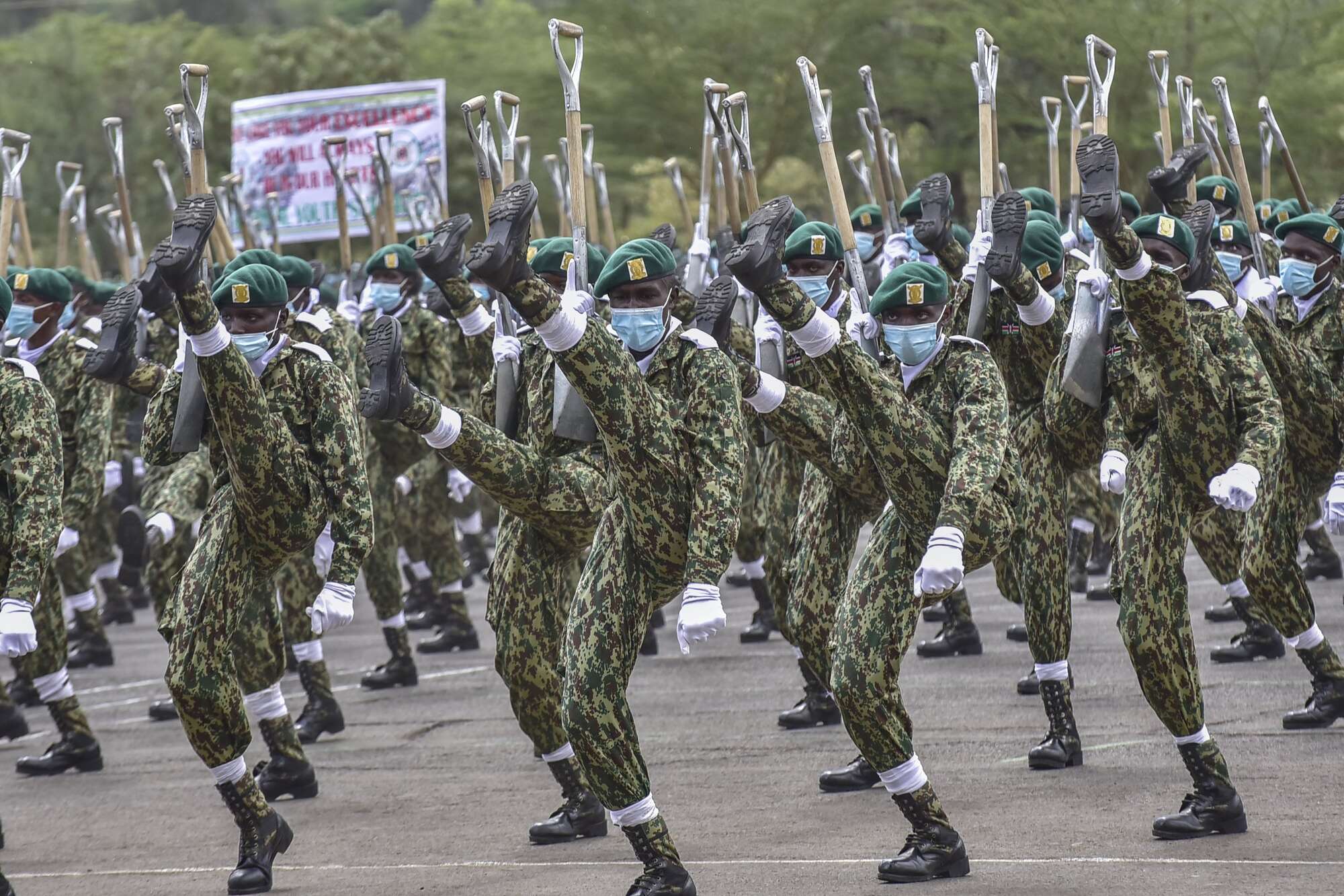 202408DNnaksNYS10065