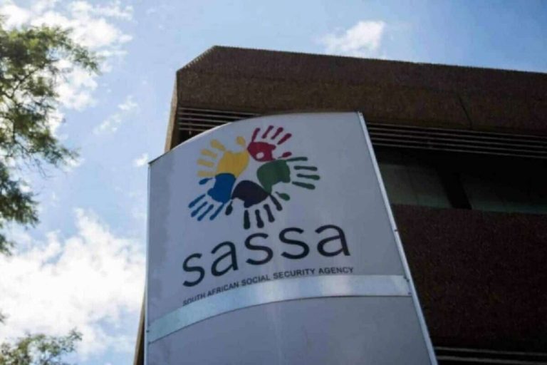 202505sassa-branch