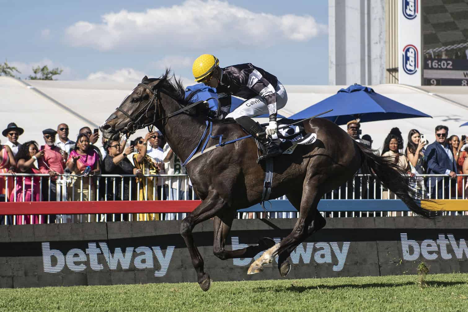 202511Atticus-Finch-Charity-Mile