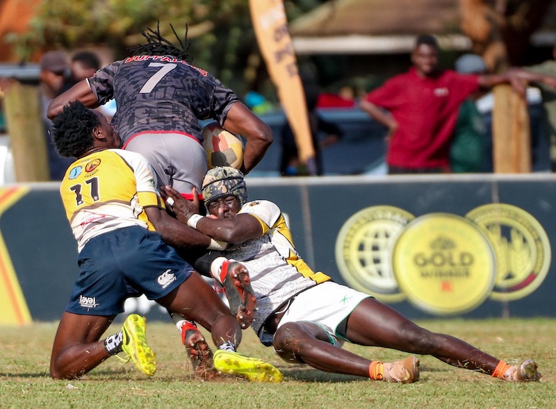 202511Buffaloes-in-action-against-Hippos