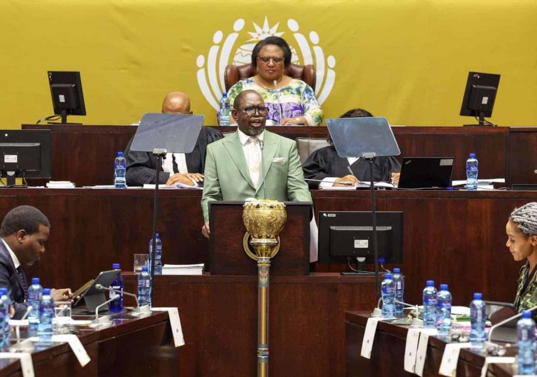 202511Enoch-Godongwana-MTBPS-organisations
