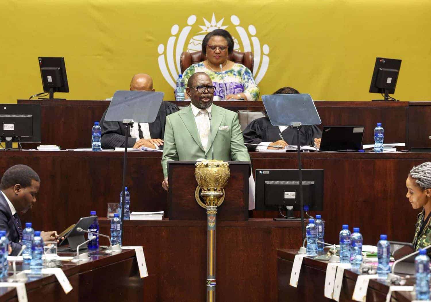 202511Enoch-Godongwana-MTBPS-organisations