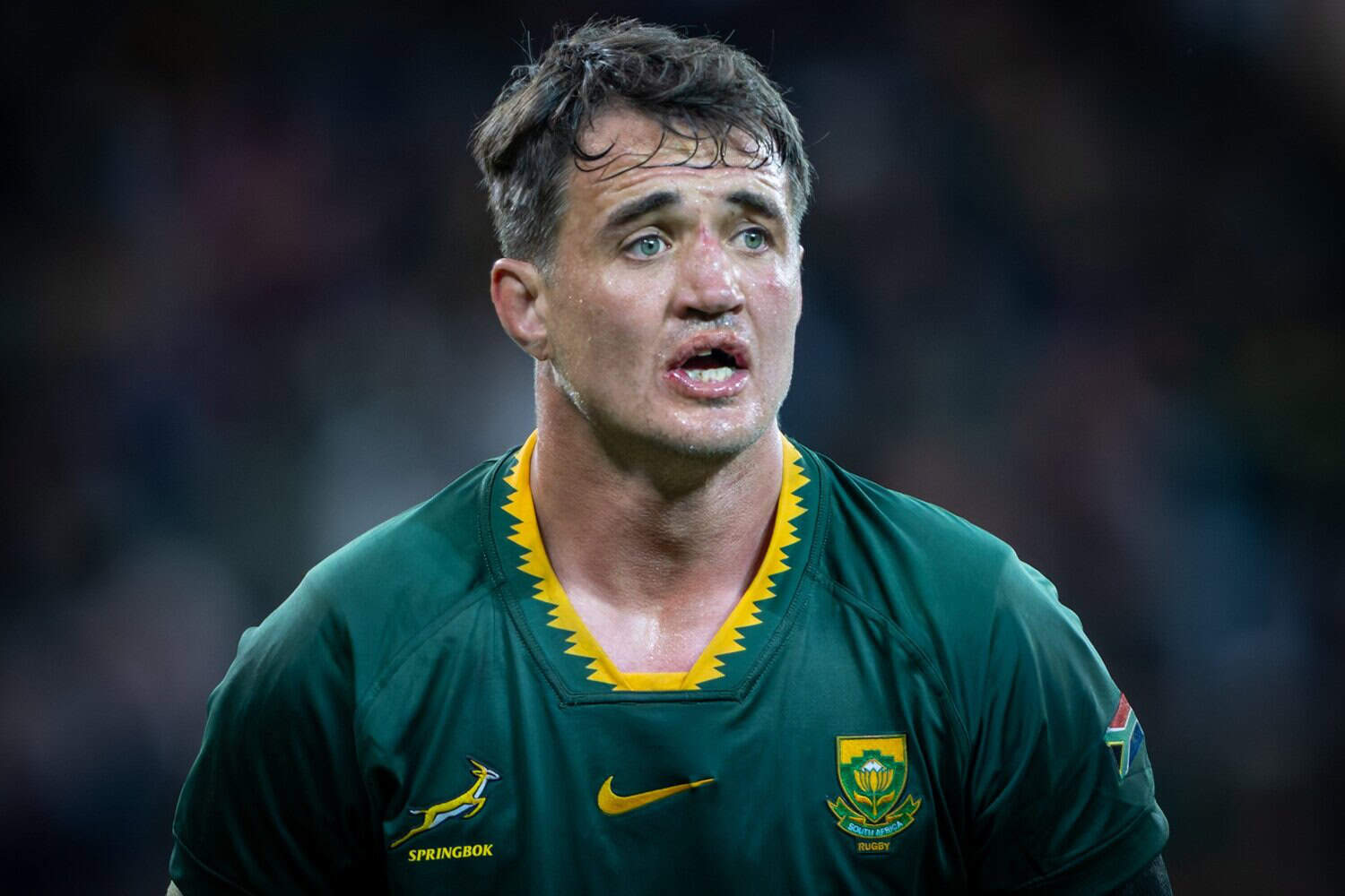 Castle Lager Rugby Championship: South Africa v Australia