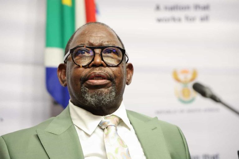 202511Illicit-trade-costs-could-have-stopped-tax-hikes