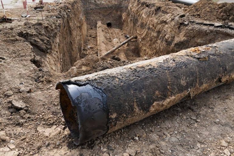 202511KZN-high-court-attempted-murder-assault-conviction