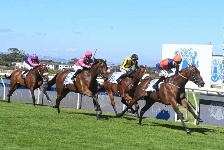 202511Punters-Cup-betting