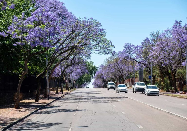 202511Tshwane-pays-sinkholes