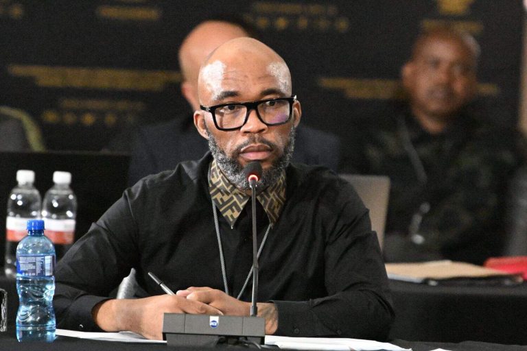 202511Vusimuzi-Cat-Matlala-Mkhwanazi-ad-hoc-committee