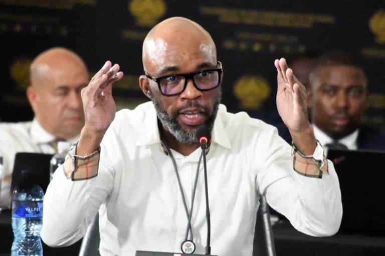 202511Vusimuzi-Cat-Matlala-ad-hoc-committee-Bheki-Cele-Brown-Mogotsi-1200x800-1