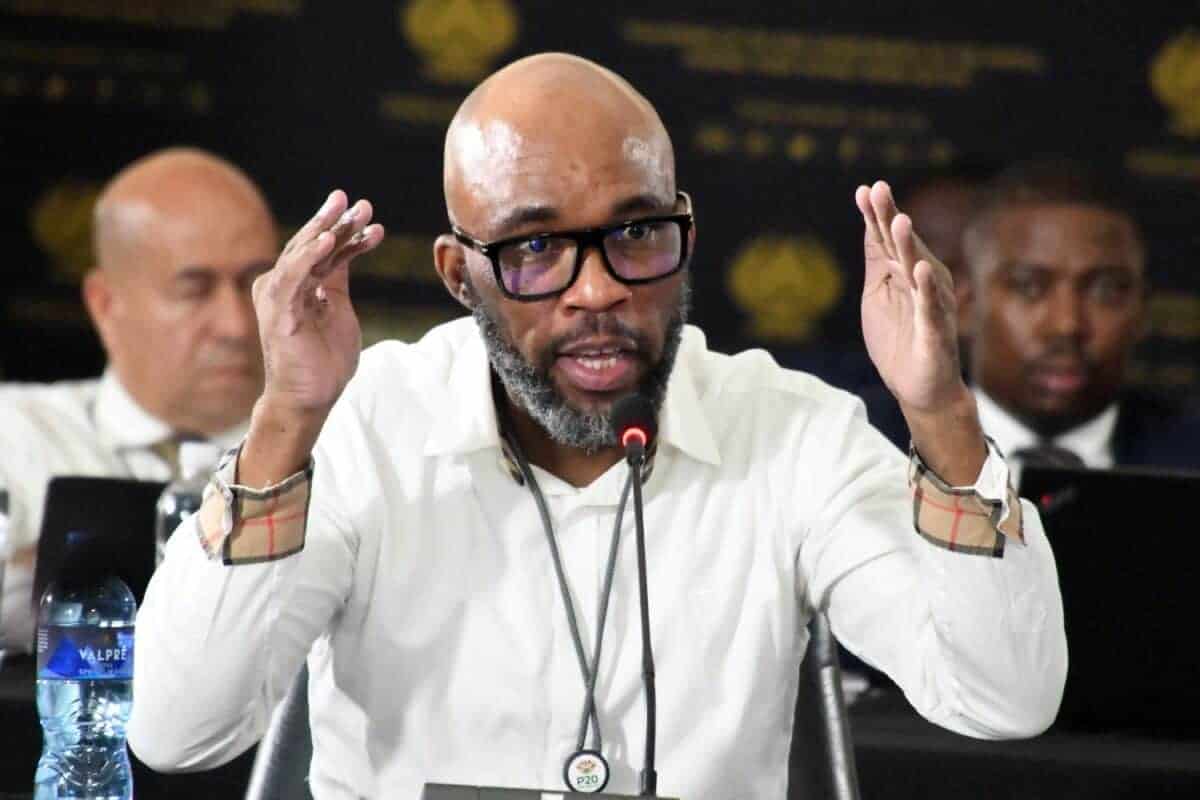 202511Vusimuzi-Cat-Matlala-ad-hoc-committee-Bheki-Cele-Brown-Mogotsi-1200x800-1