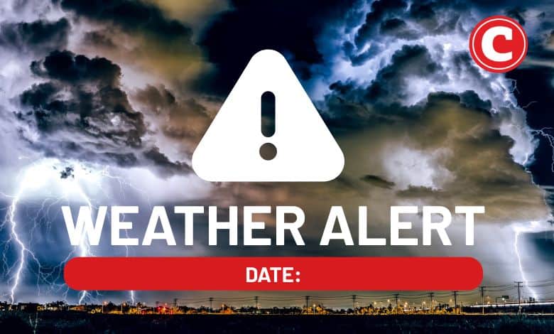 202511WA-14-November-2025