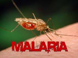 Malaria-prevention-Nigeria